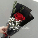 Elegant Single Red Rose Bouquet with Baby’s Breath