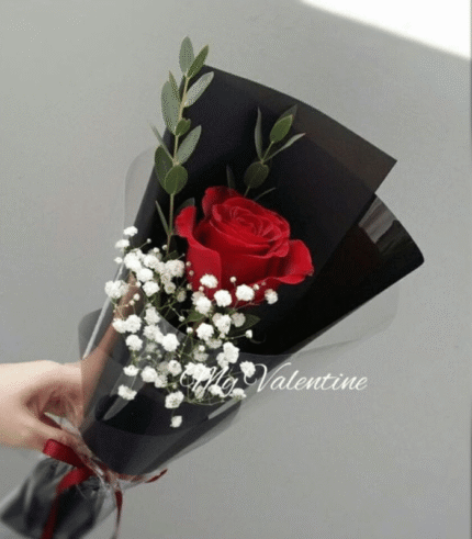 Elegant Single Red Rose Bouquet with Baby’s Breath