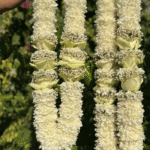 White Rose & Chrysanthemum Wedding Varmala (Pair)