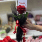 Single Red Rose in Black Mesh Wrap